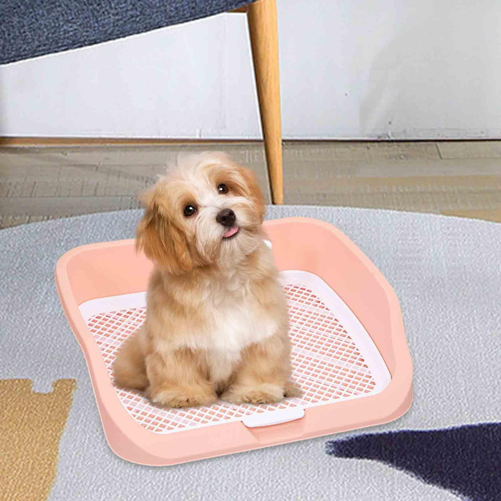 Pet Toilet Training Holder with Dog Potty Pad Y48905