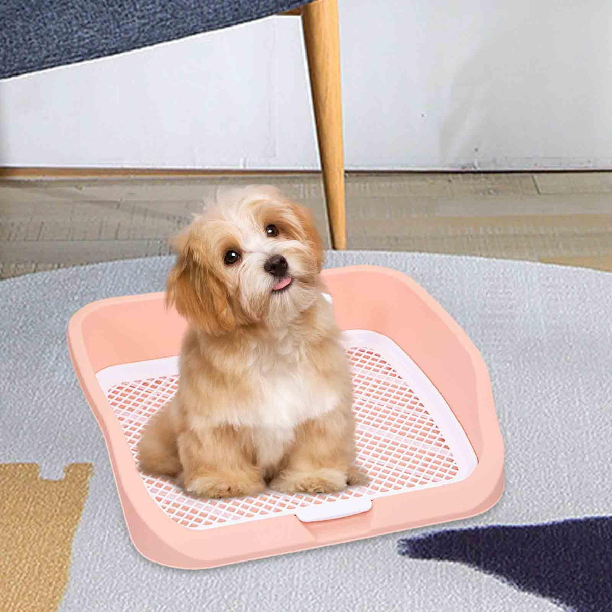 Pet Toilet Training Holder with Dog Potty Pad Y48905