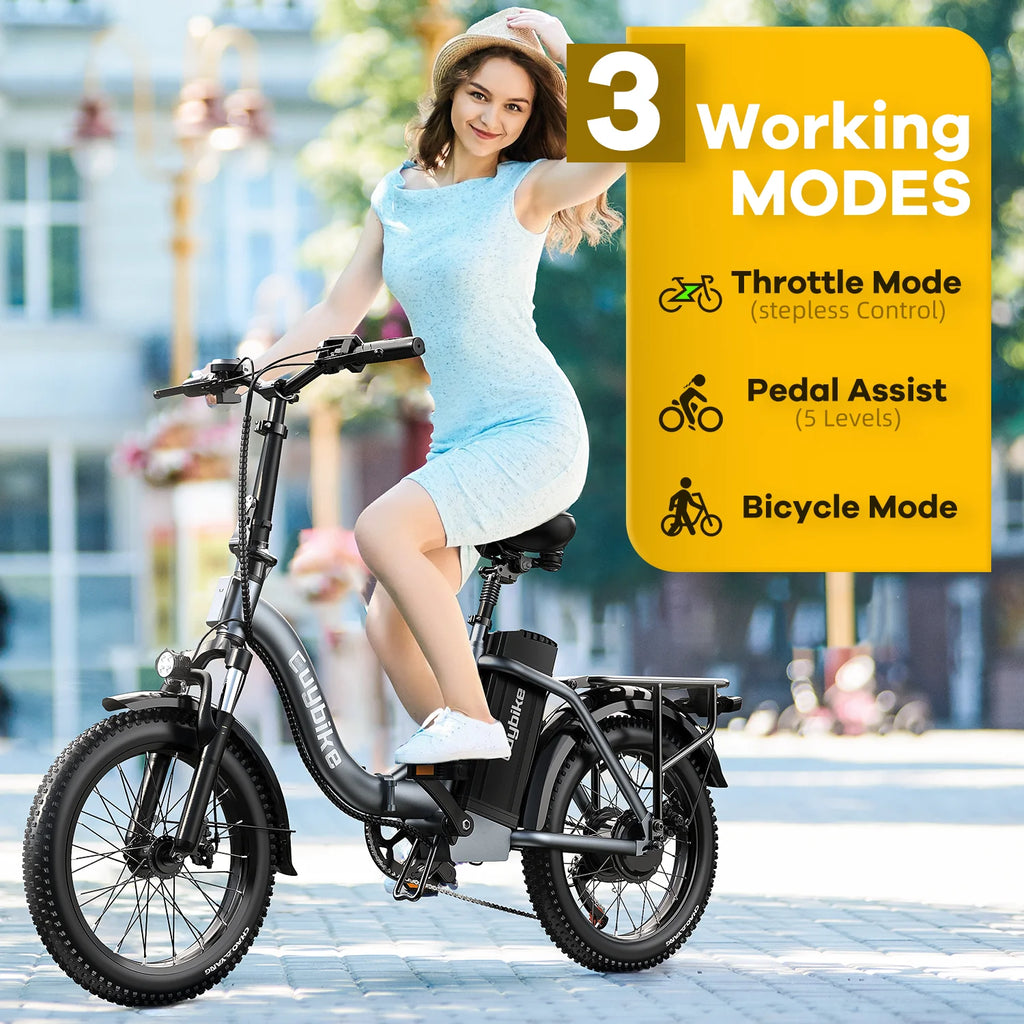 Electric Bike 750W Motor 20 Fat Tire 48V 15Ah Battery K44554