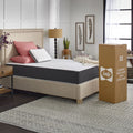 Queen Gel Memory Foam Mattress Q335309