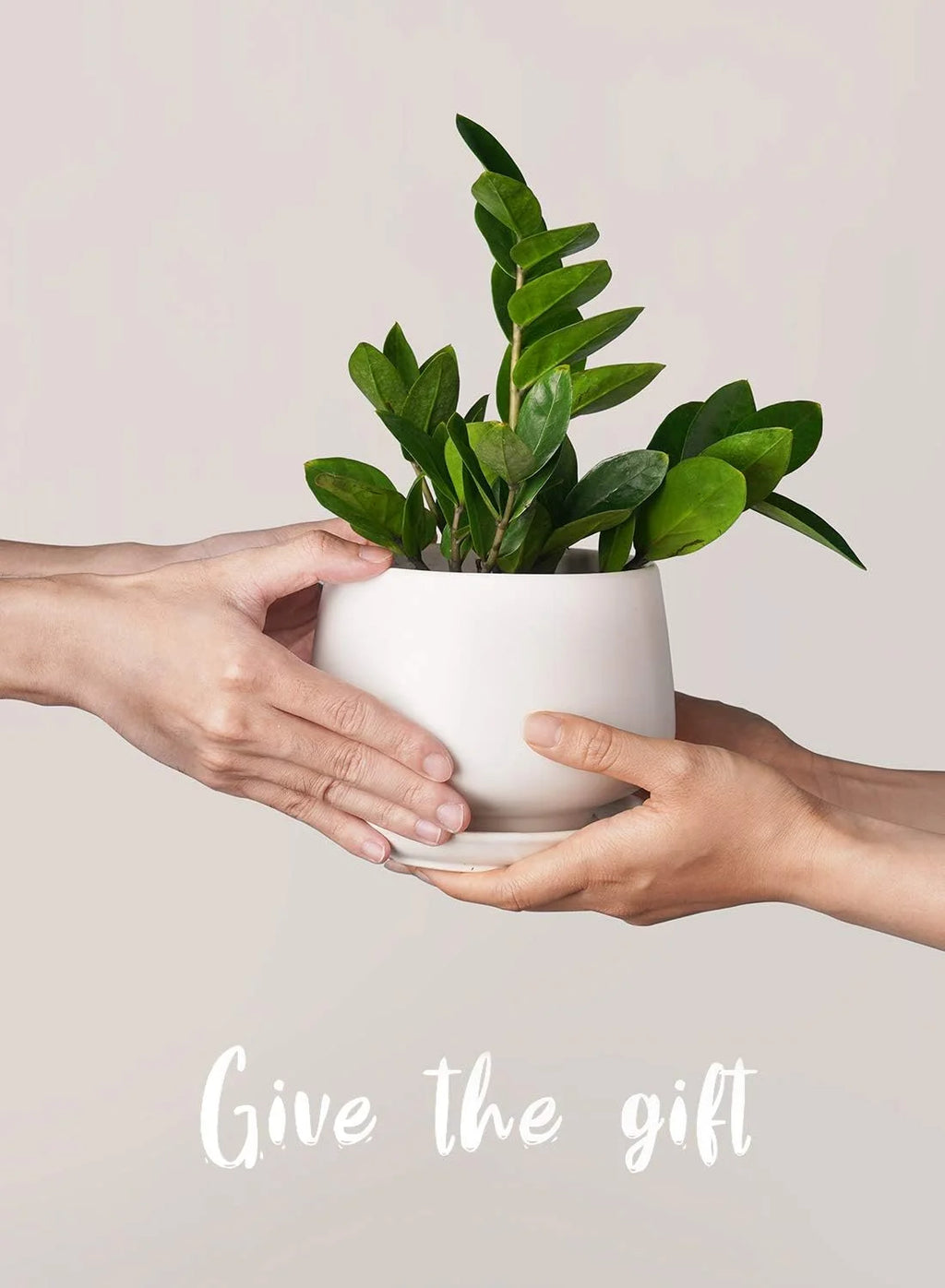 4.1+5.1+6.5 Inch Ceramic Plant Pots with Drainage Hole and Saucer, Set of 3, White R9911