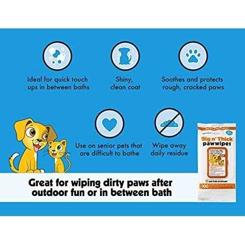 Pet Wipes 100 Z375