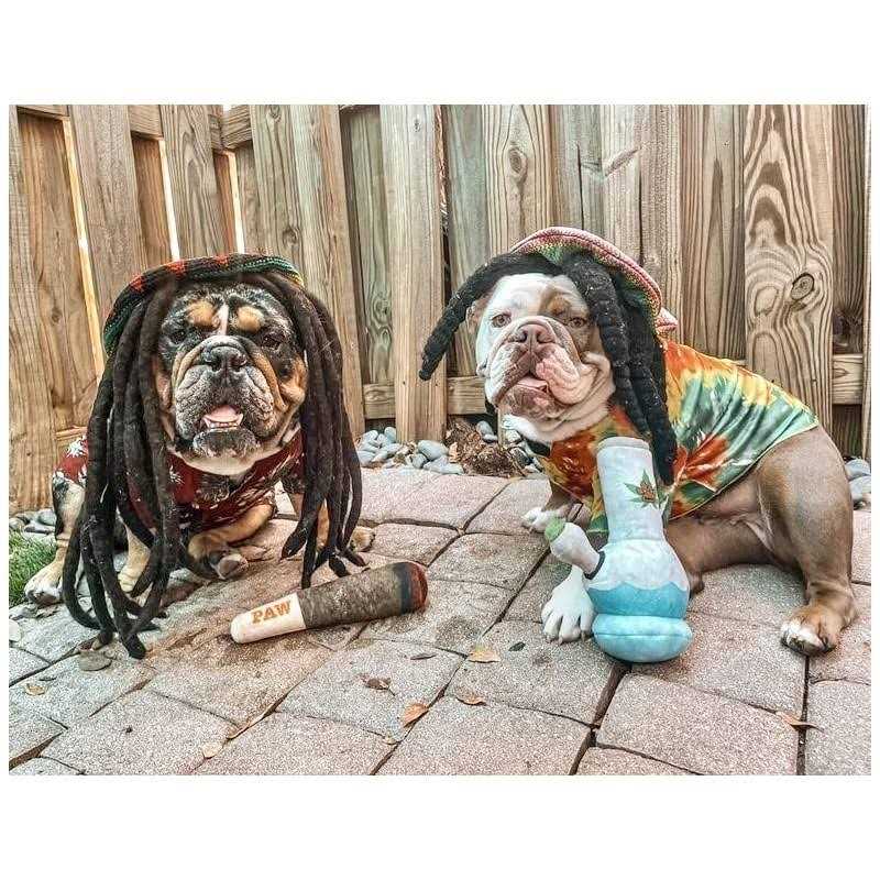 Plush Squeaky Dog Toys B467
