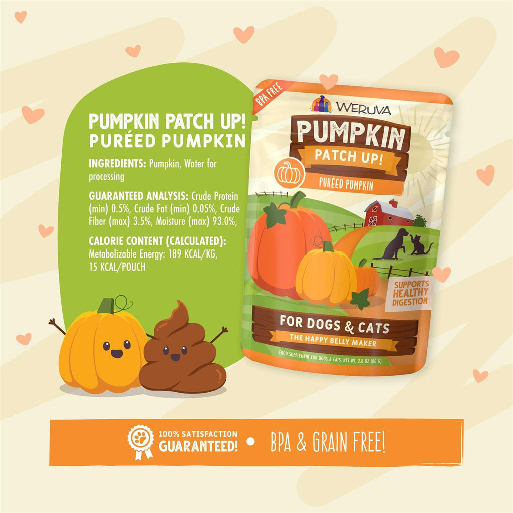 Pumpkin Patch Up A848404