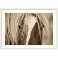Photographic Print White Frame 28x22 H x 38x22 W x 1x22 D O28462