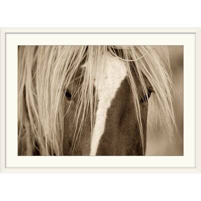 Photographic Print White Frame 28x22 H x 38x22 W x 1x22 D O28462