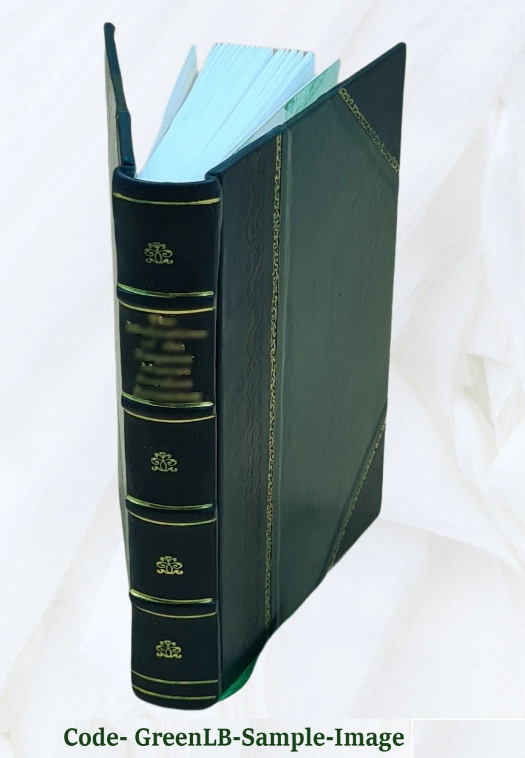Novel R939