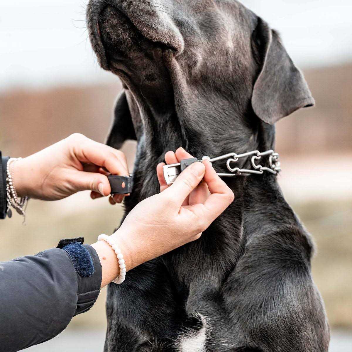 Stainless Steel Quick Release Buckle for Dog Collar E98685