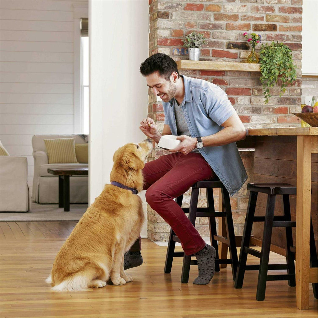 Healthy Digestion Dry Dog Food with Real Chicken P7529