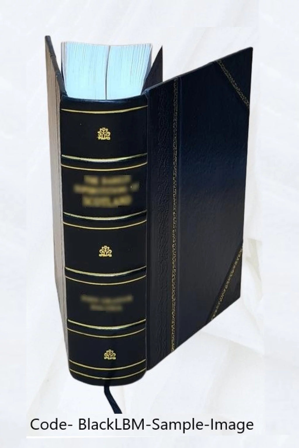Leather Bound Book J80243