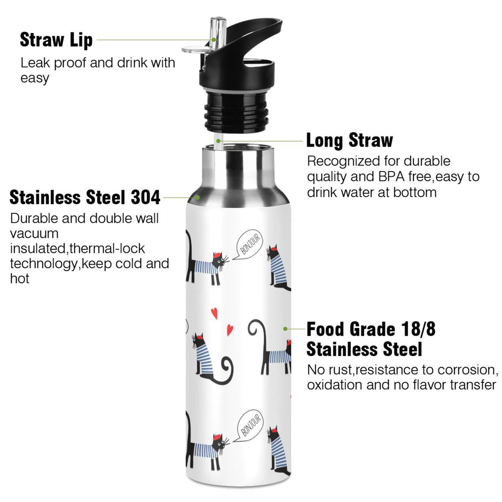 Stainless Steel Insulated Water Bottle with Straw Lid A776