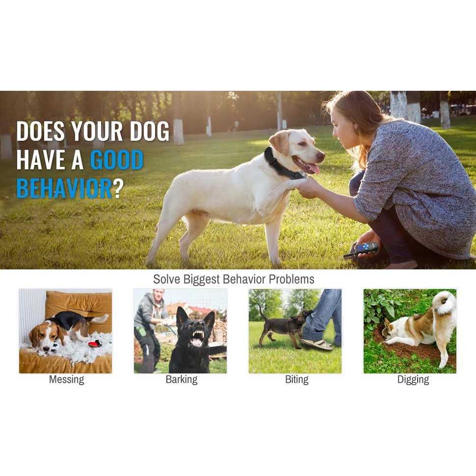 Rechargeable Dog Training Collar with Remote D67582