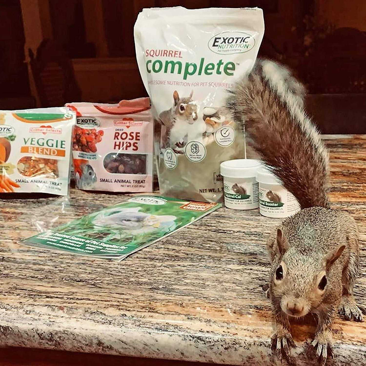 Squirrel Food Starter Package Y788