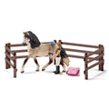 Andalusian Horse Care Set K561