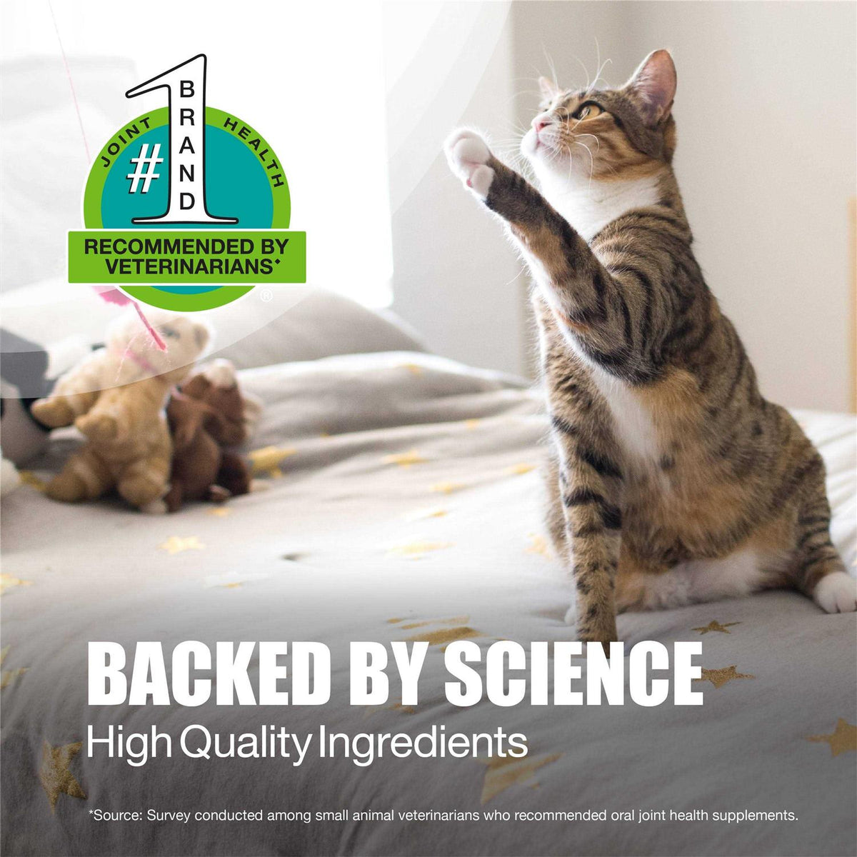 Dasuquin for Cats O60544