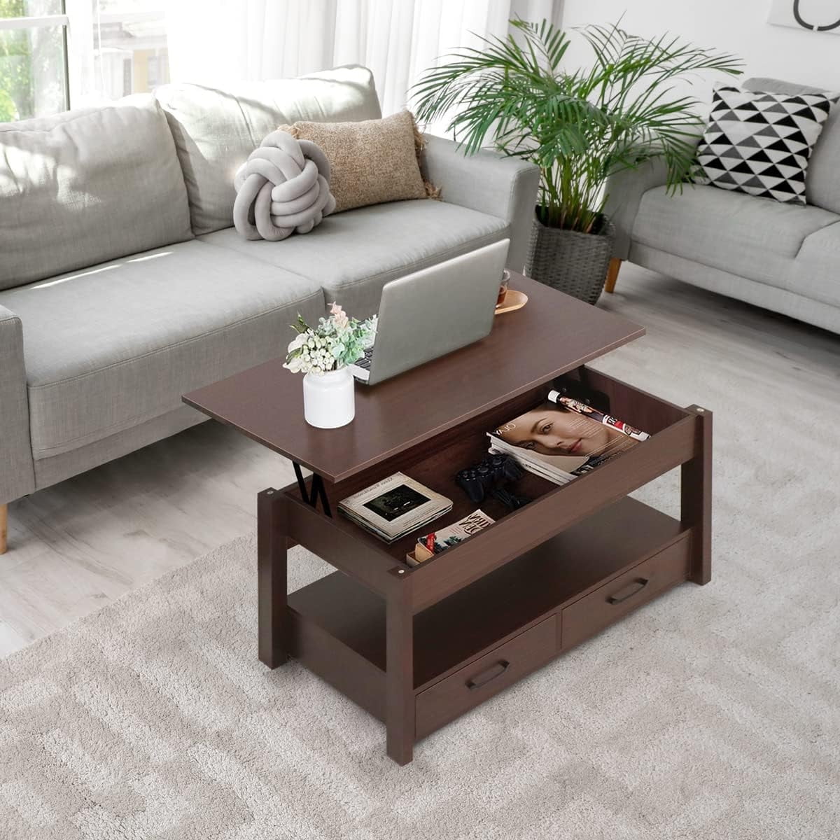 2 Drawer Lift Top Coffee Table Espresso Q95743