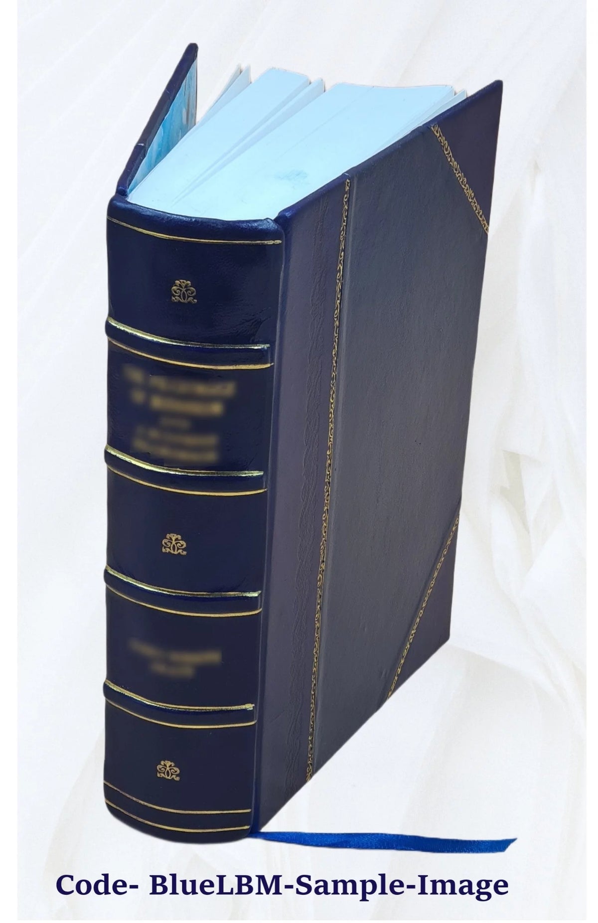 Leather Bound Book J80243
