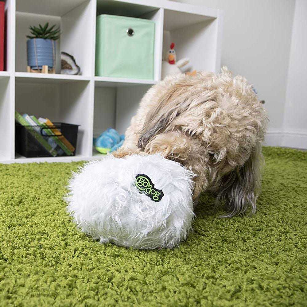 Dog Toy C415749