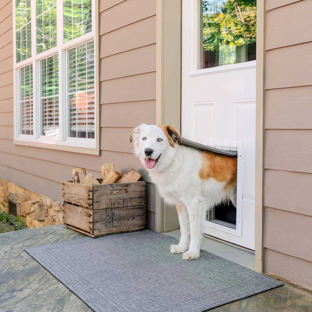 Aluminum Pet Door T6555