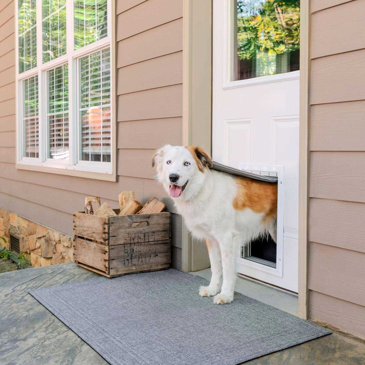 Aluminum Pet Door T6555