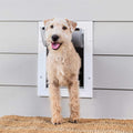 Wall Entry Pet Door T700
