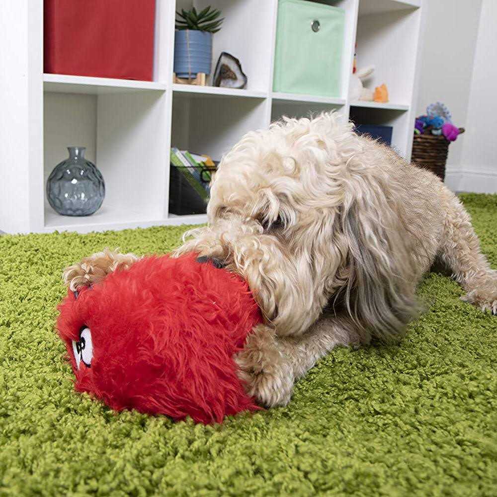 Dog Toy C415749