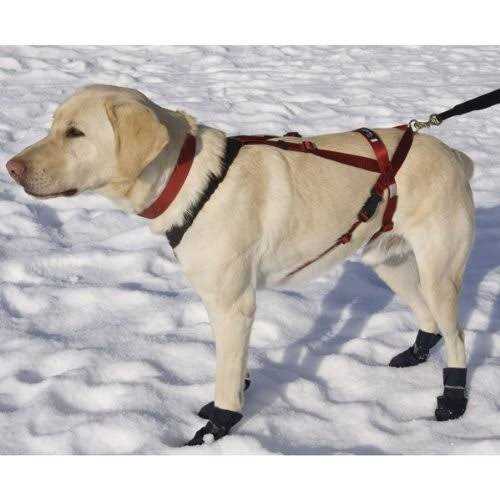 One Harness C2051