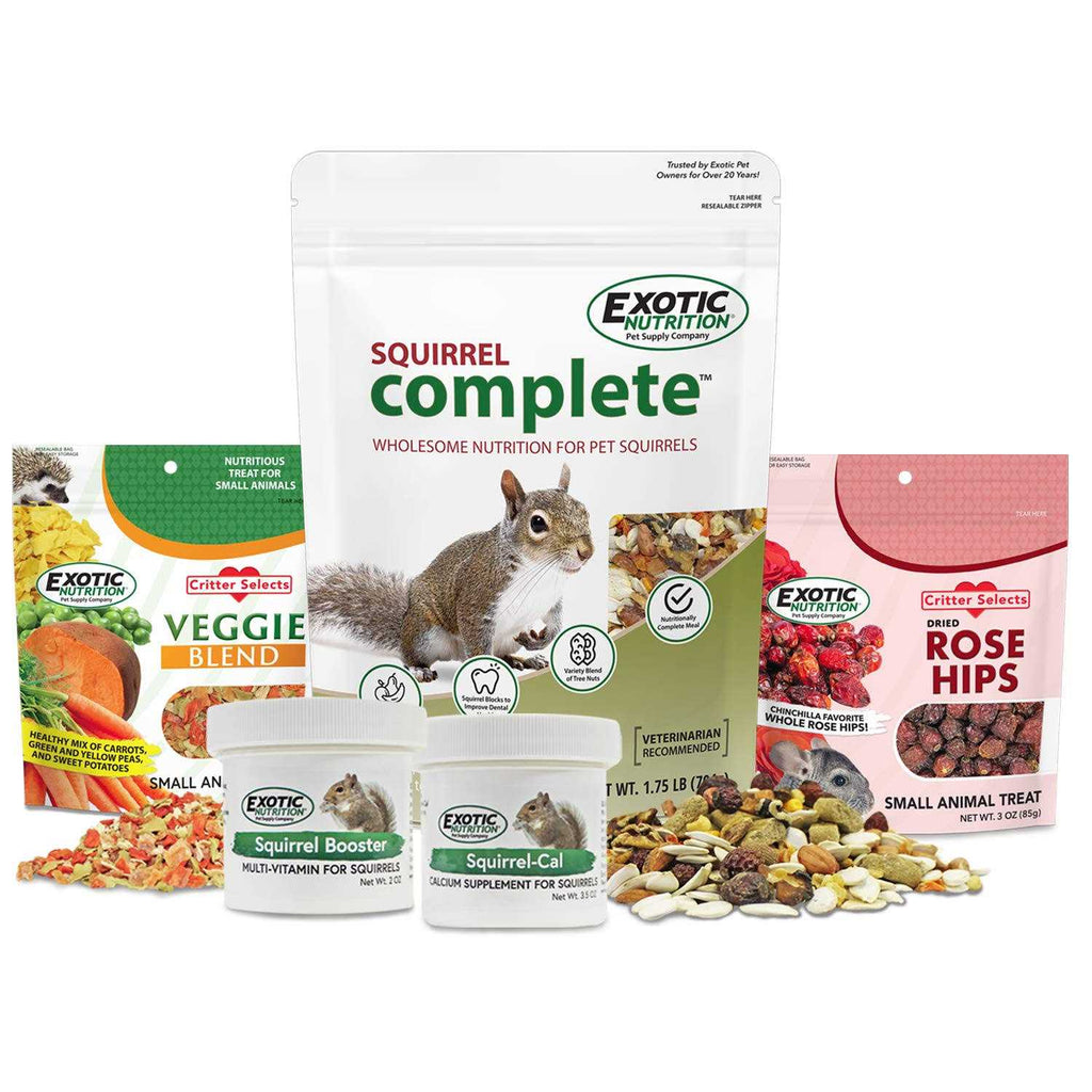 Squirrel Food Starter Package Y788