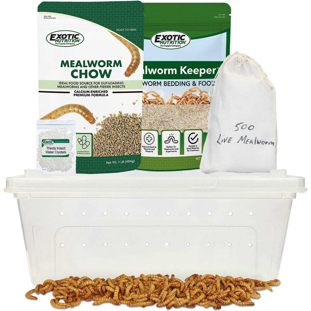 Mealworm Breeder Kit N46258