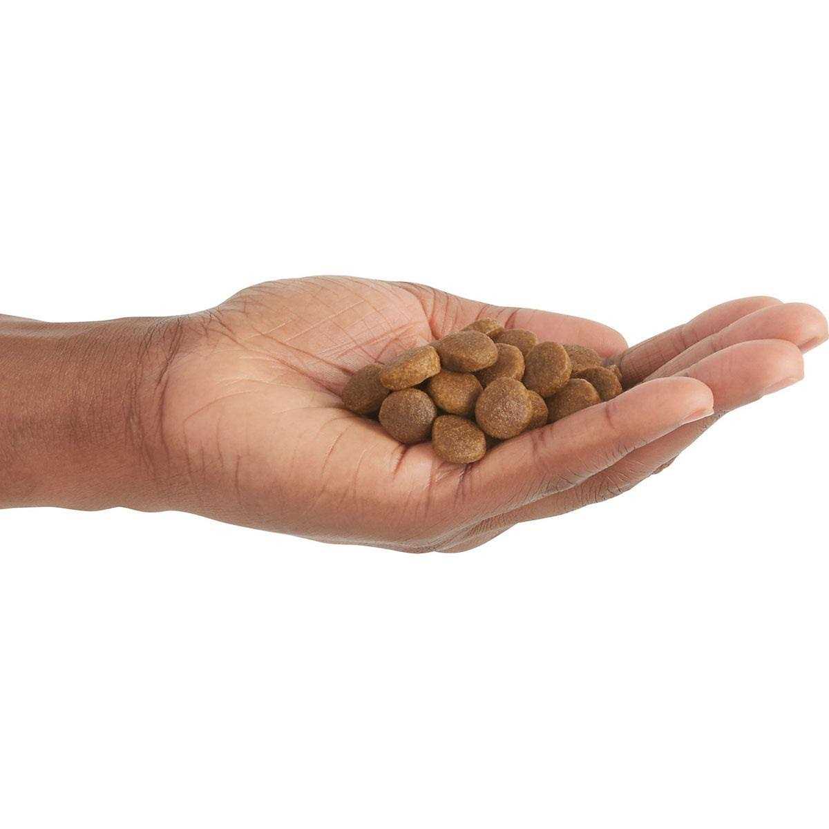 Poultry Dry Dog Food U562