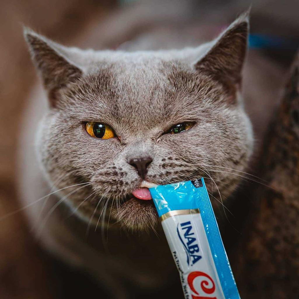 Lickable Tuna and Chicken Cat Treats P3136