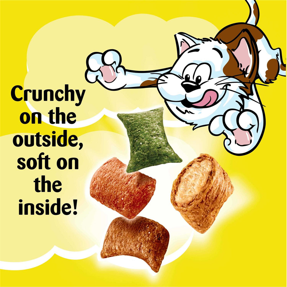 Crunchy and Soft Cat Treats H109768