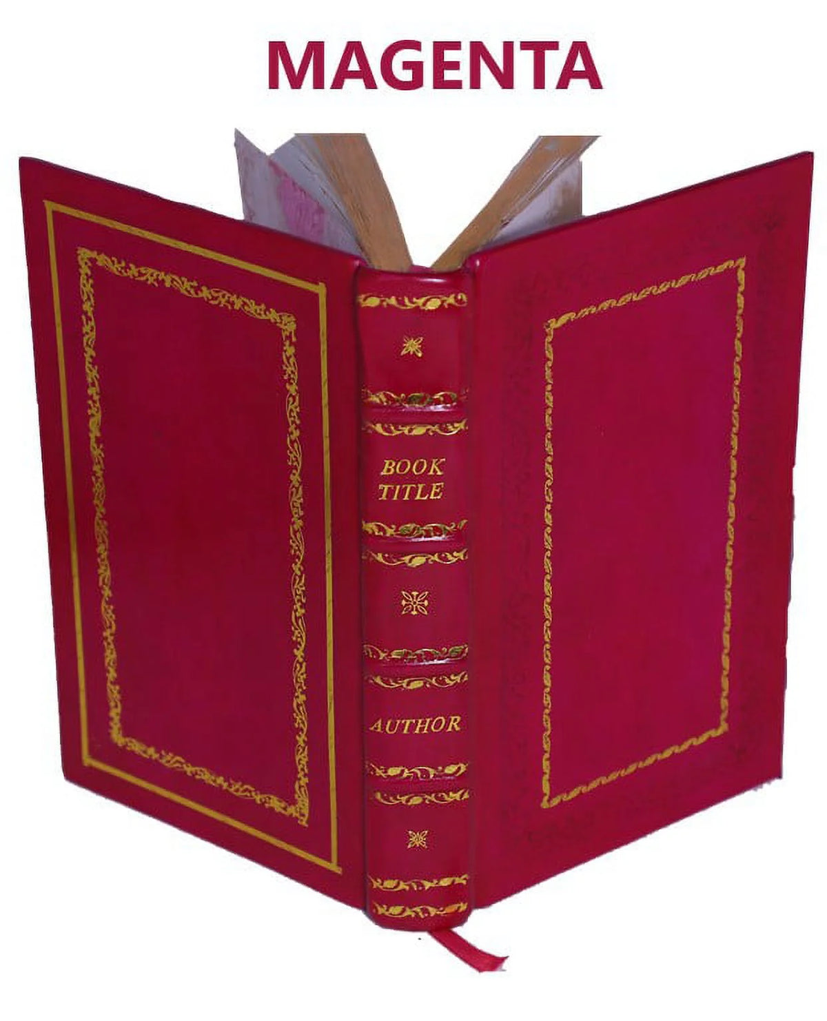 Premium Leather Bound Book M723393