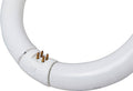 12-Pack Cool White T9 Circuline Fluorescent Lamp H735344