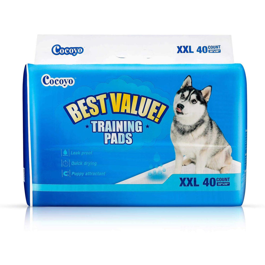 Training Pads B947250
