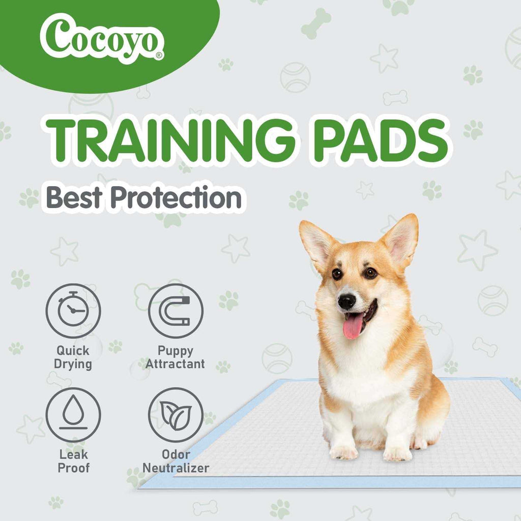 Training Pads B947250
