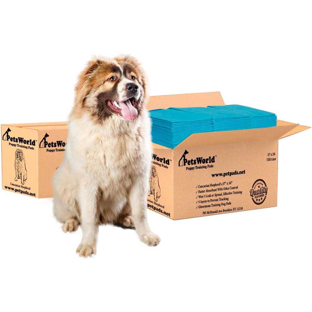 XXL Tear Resistant Pet Potty Pads I959