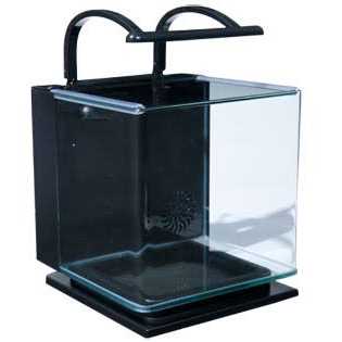 5 Gallon Kit M9970