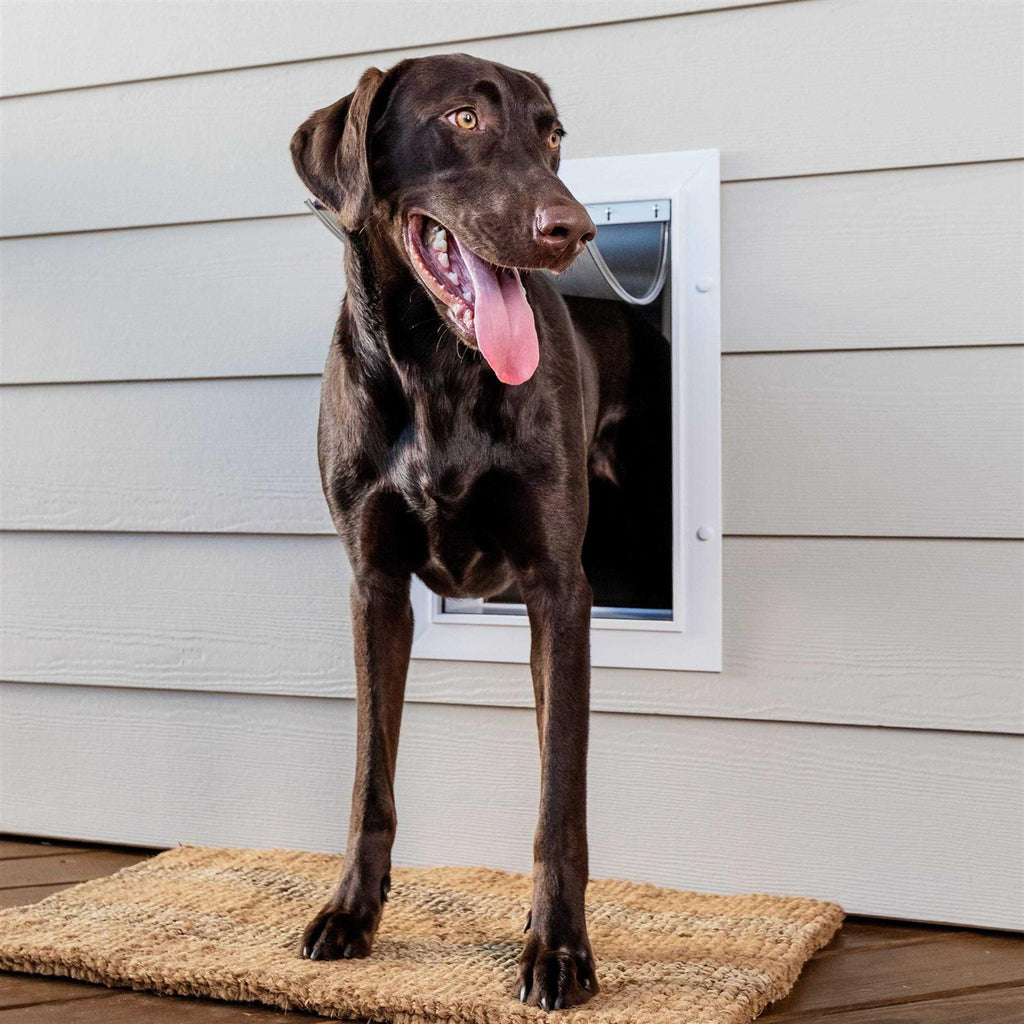 Wall Entry Pet Door T700