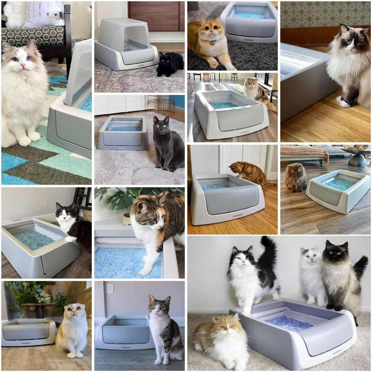 Self-Cleaning Cat Litter Box P3524