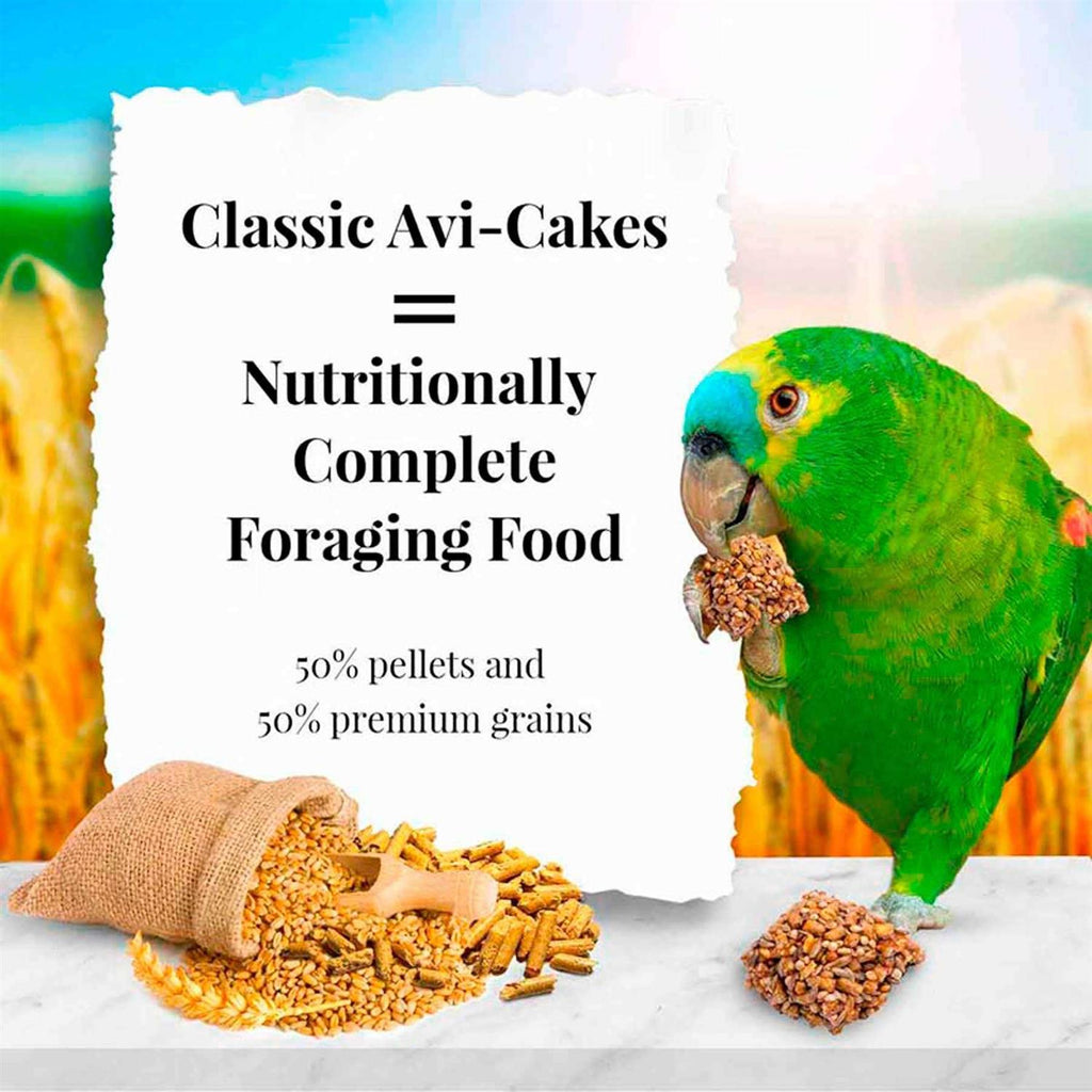 Parrot Food T9064