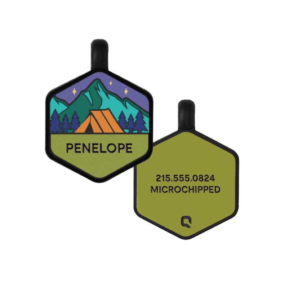 Silicone Dog ID Tag N1524