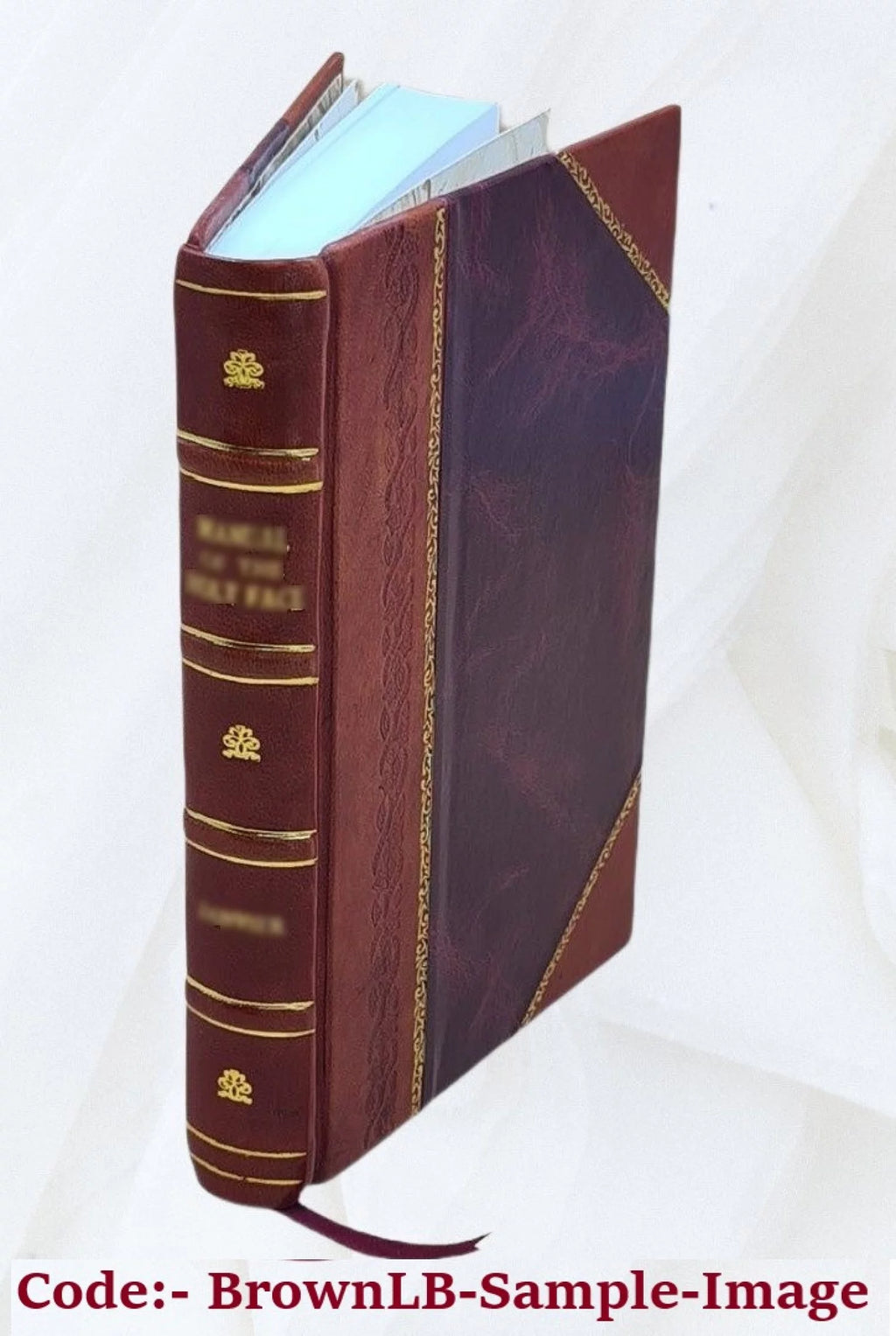 Novel R939
