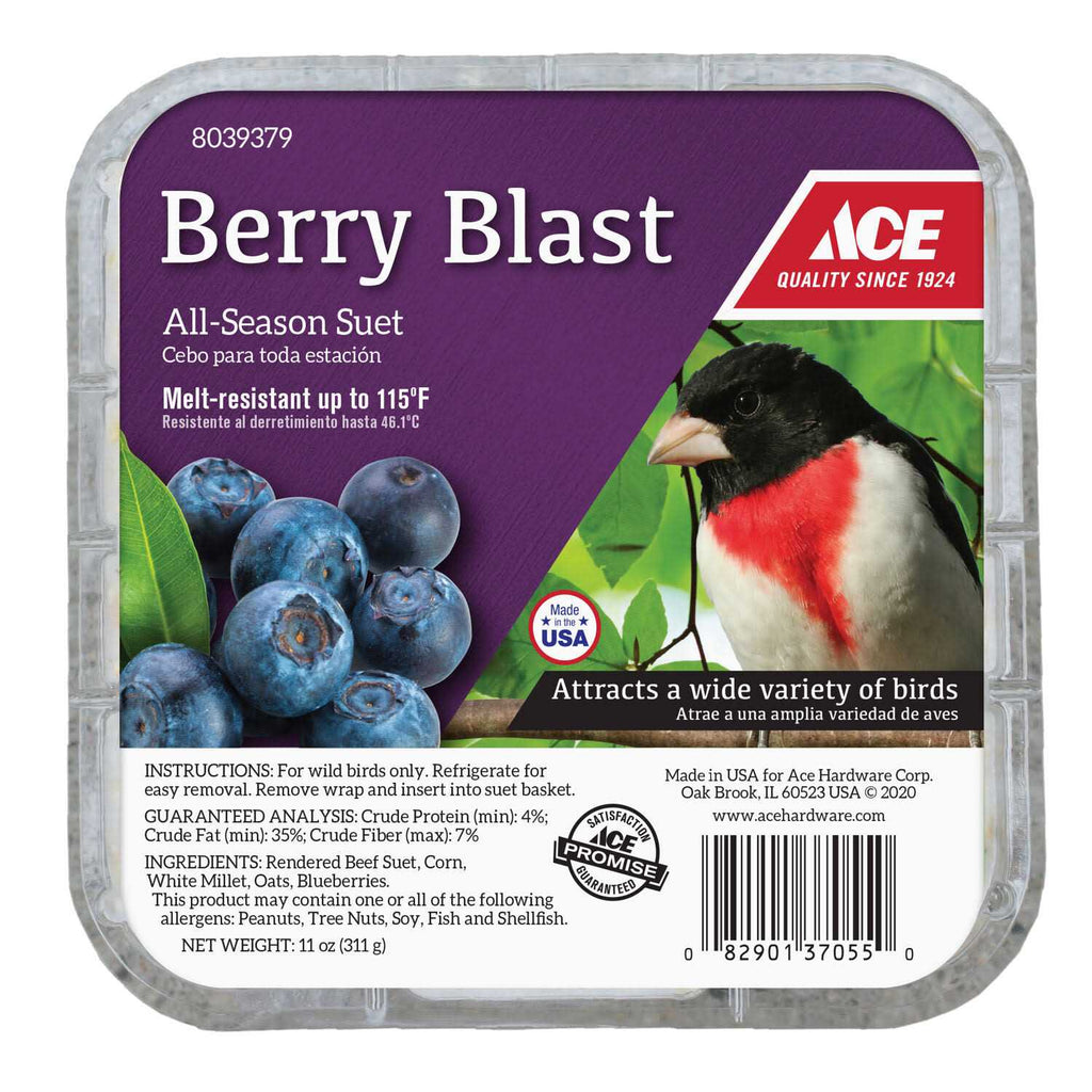 Beef Suet 11 oz F7284