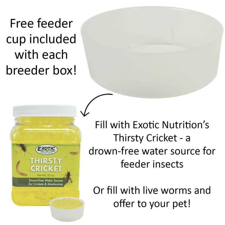 Mealworm Breeder Kit N46258