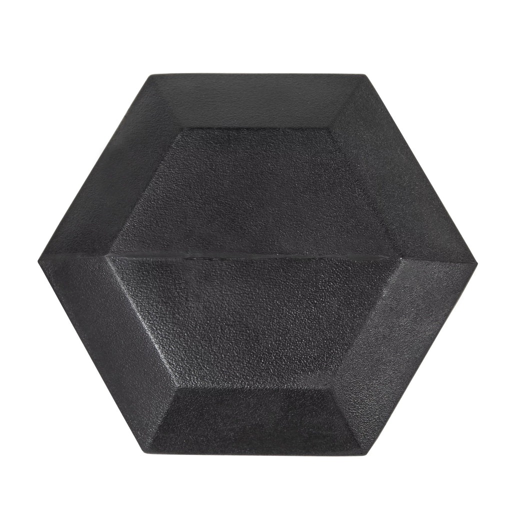 25lb Rubber Hex Dumbbell P2842