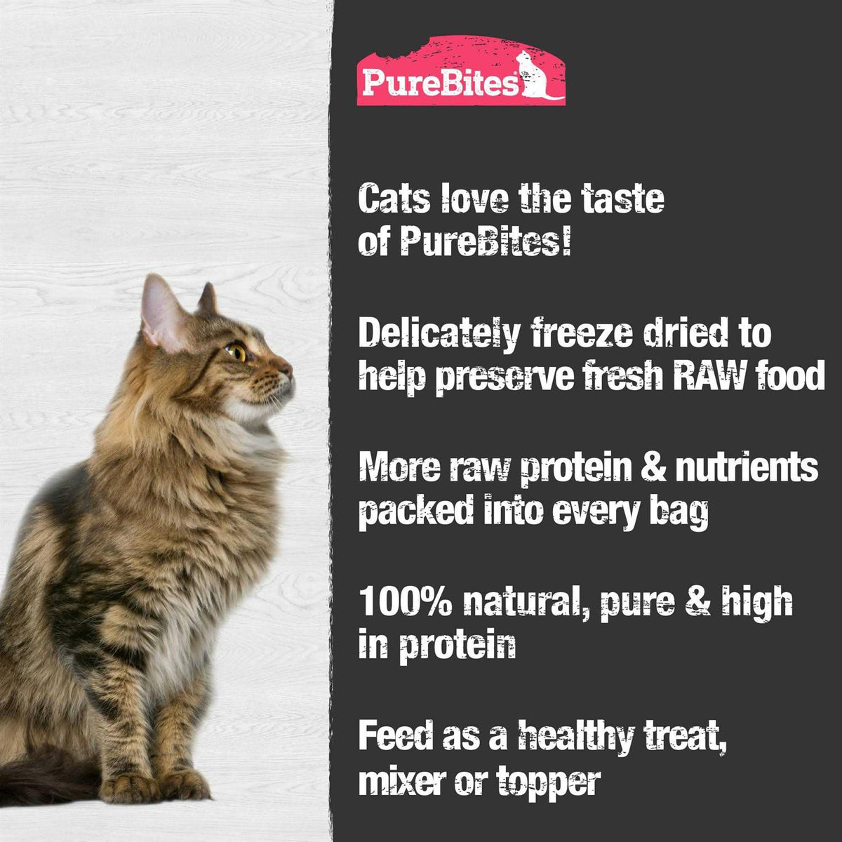 Freeze Dried Shrimp Cat Treats V8239