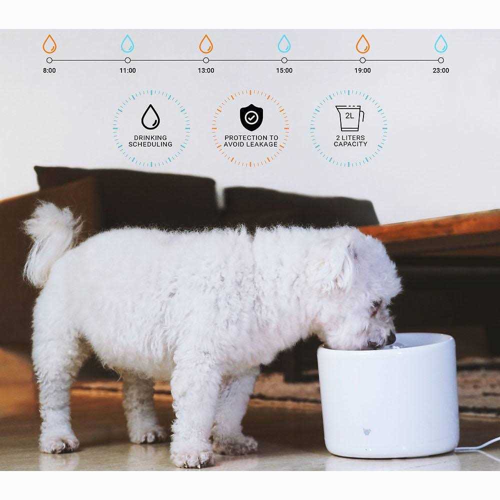 Smart Pet Water Fountain U24519