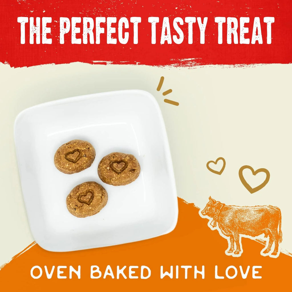 Freeze-Dried Raw Coated Grain Free Dog Biscuits 9 oz Bag Q49385