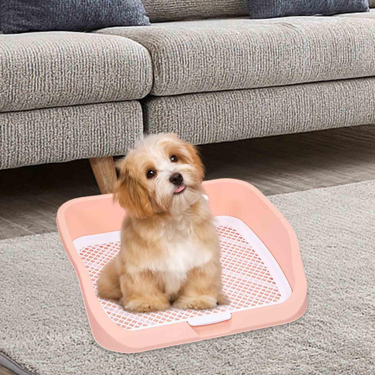 Pet Toilet Training Holder with Dog Potty Pad Y48905